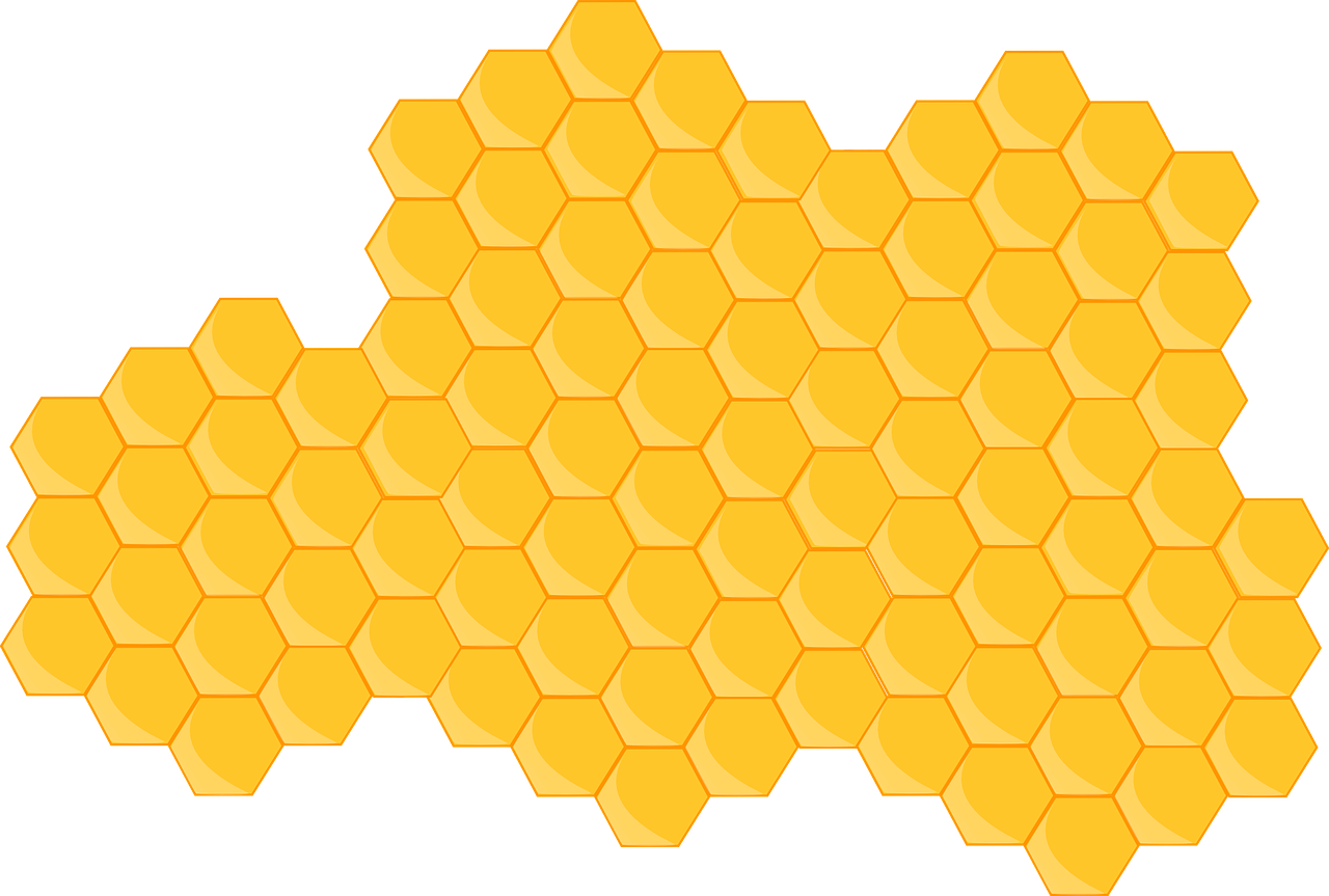 hive picture from pixaby